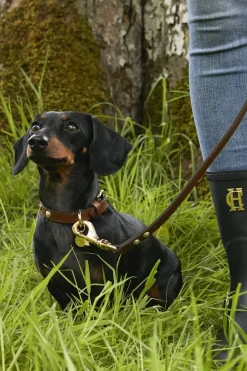 Holland Cooper HC Studded Dog Collar< Dog Collars
