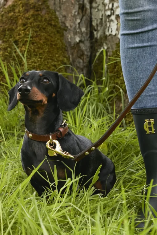 Holland Cooper HC Studded Dog Collar< Dog Collars